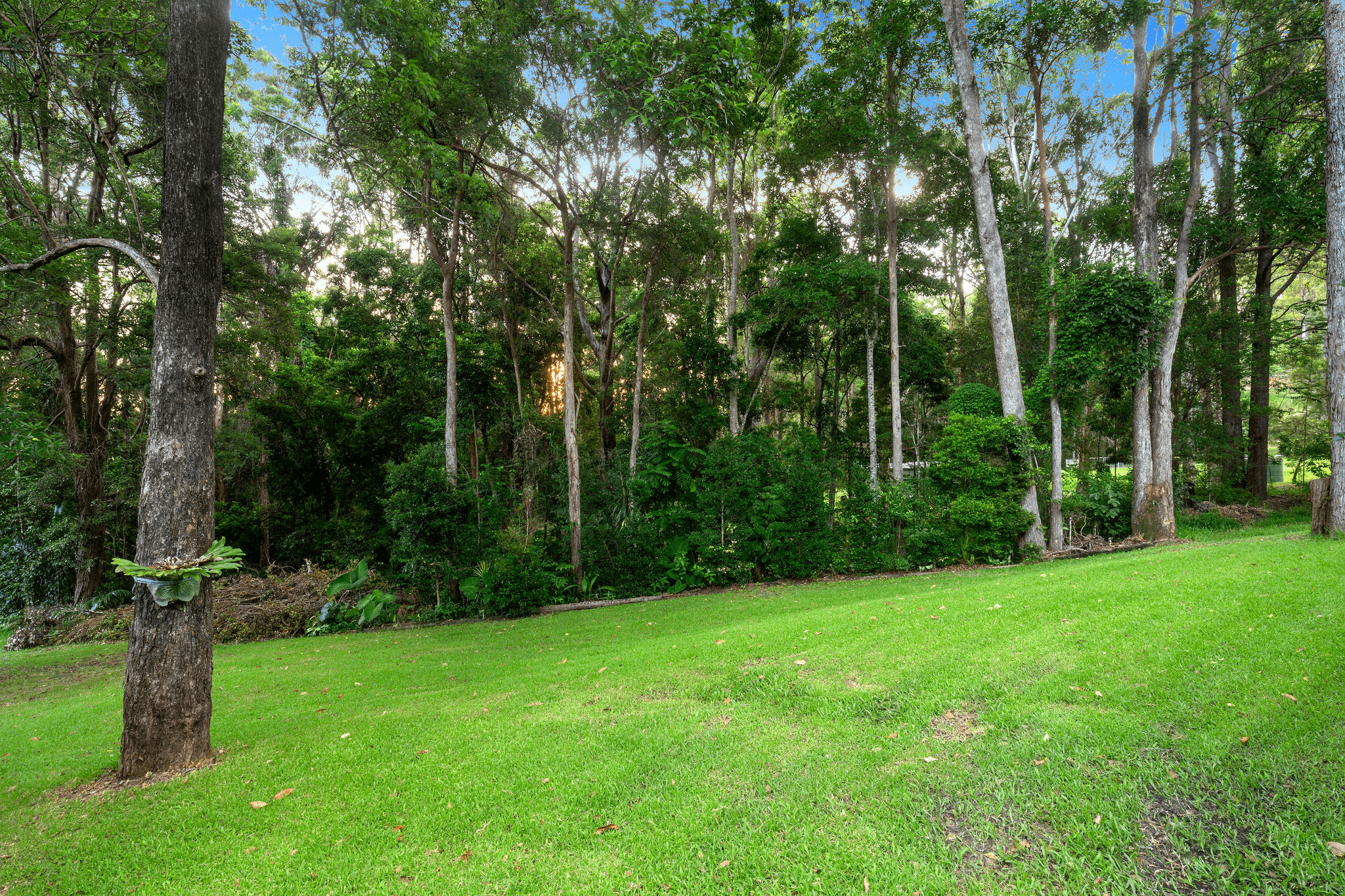 2 Rosemary Avenue, Glenview, QLD 4553