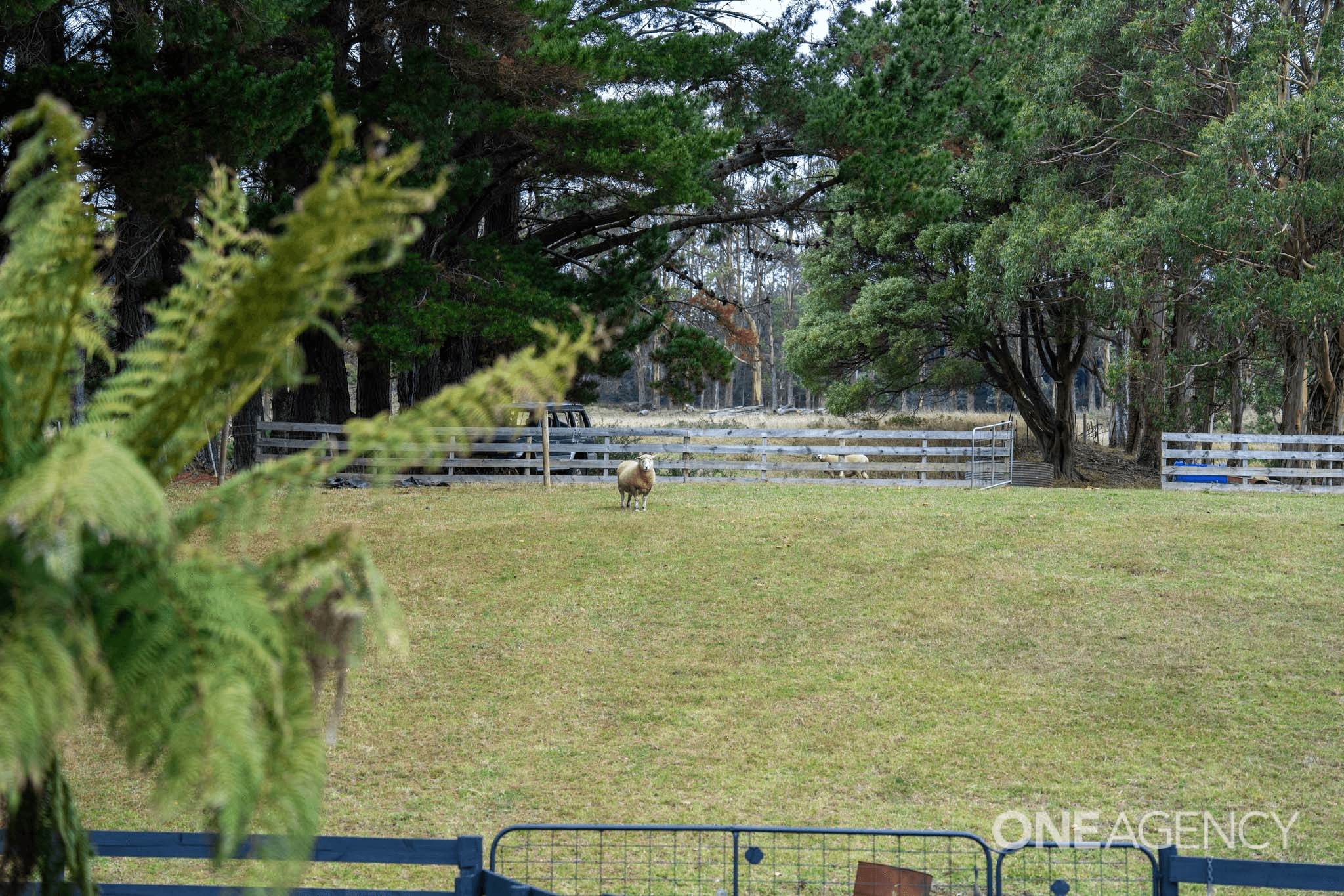 1333 Murchison Highway, Yolla, TAS 7325