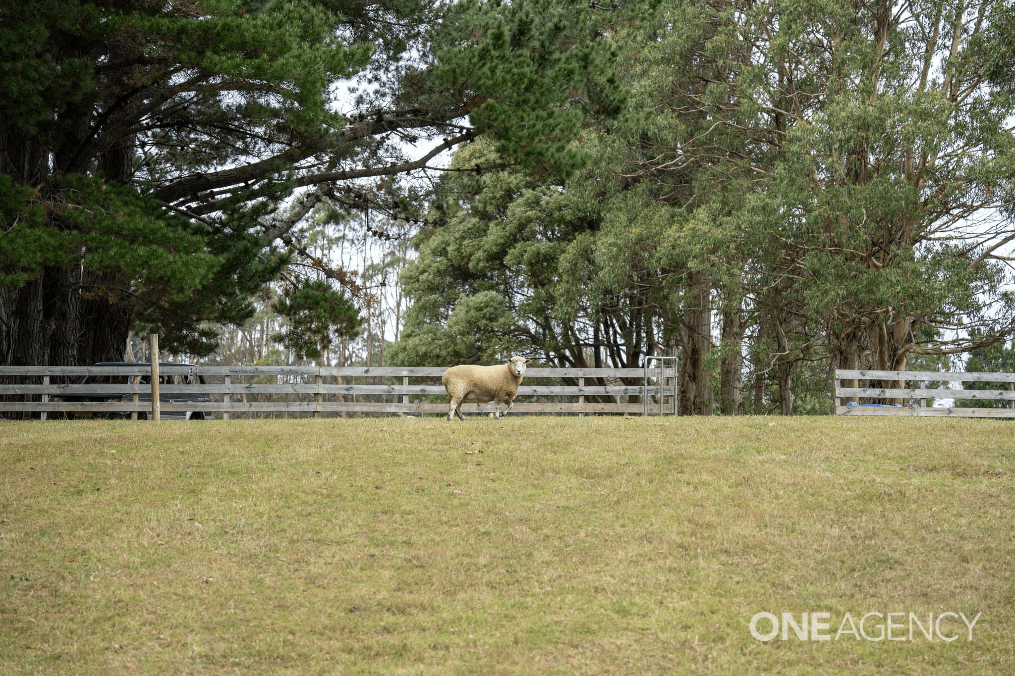 1333 Murchison Highway, Yolla, TAS 7325
