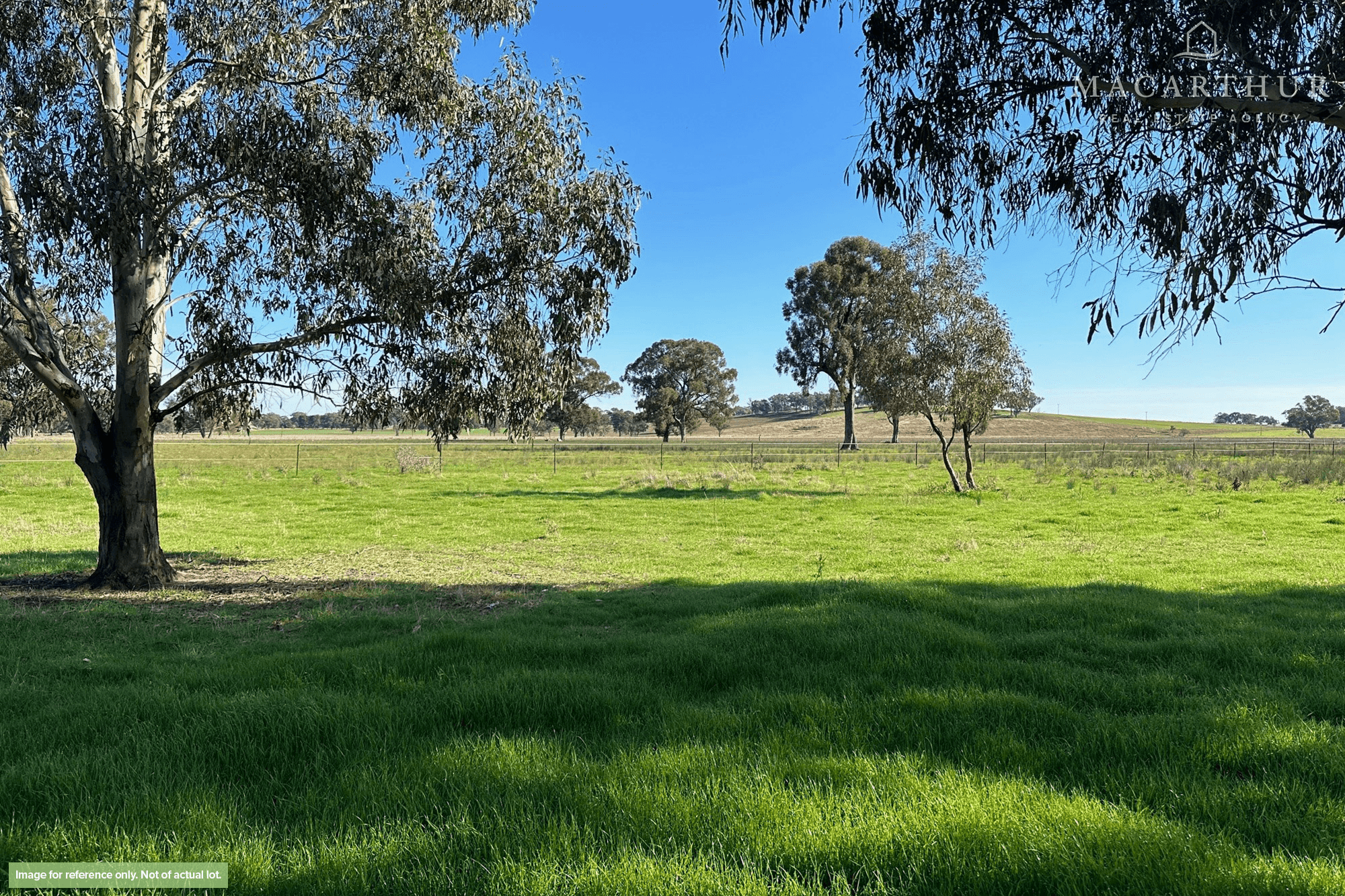 2311 Henty-Pleasant Hills Road, Henty, NSW 2658