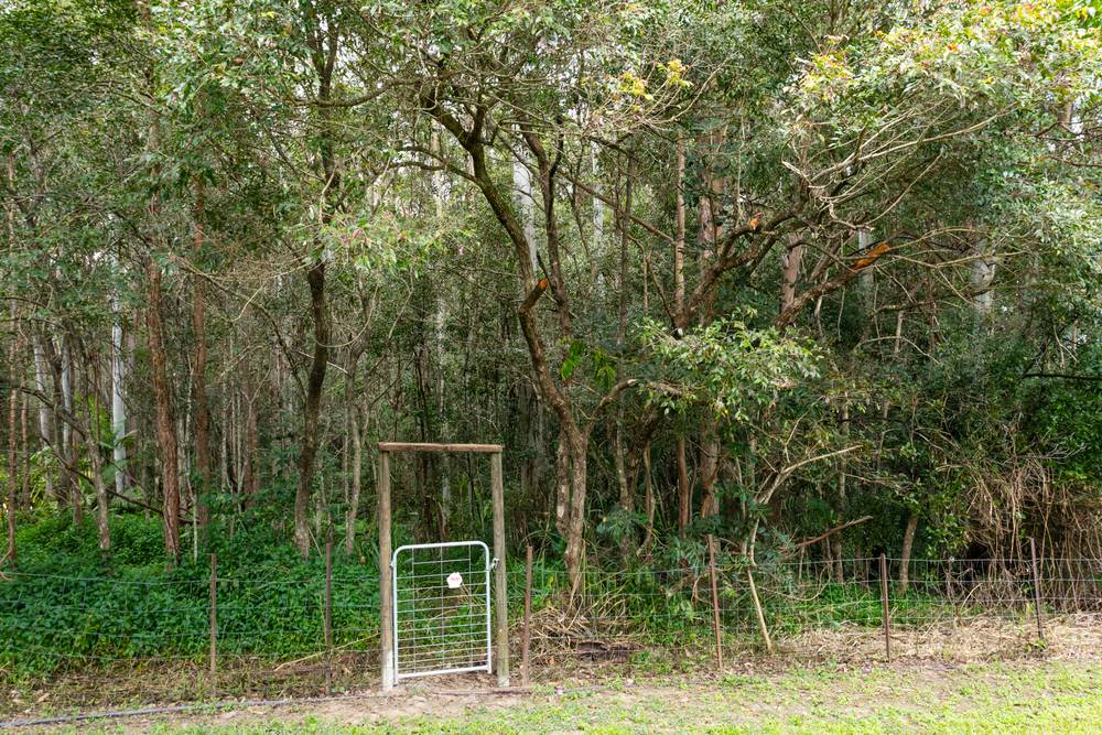 123 Blueberry Drive, BLACK MOUNTAIN, QLD 4563