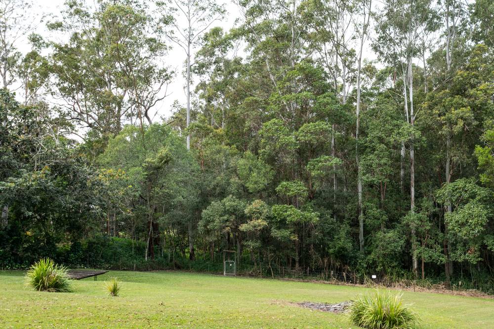 123 Blueberry Drive, BLACK MOUNTAIN, QLD 4563