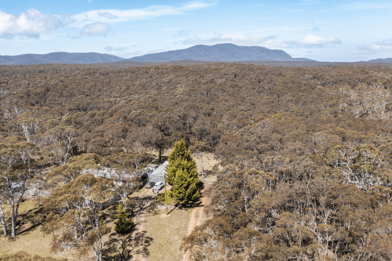 558 Northangera Road, MONGARLOWE, NSW 2622