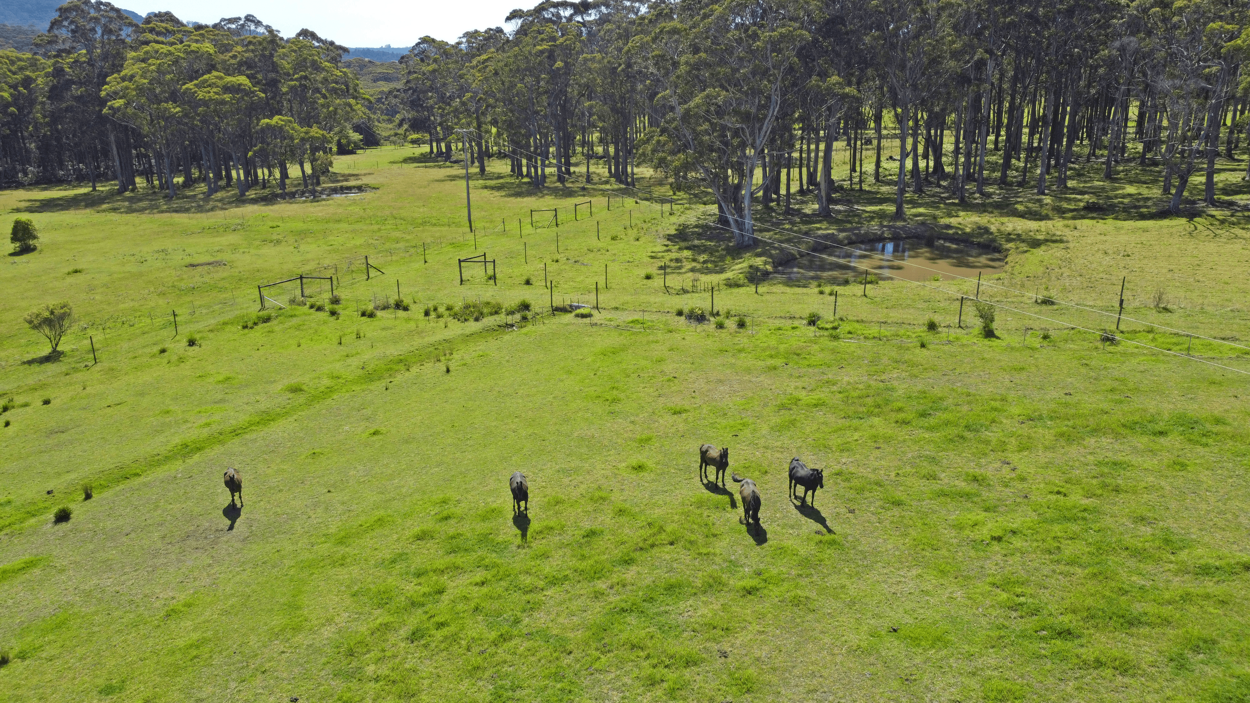 61 WALLABY HILL ROAD, ROBERTSON, NSW 2577