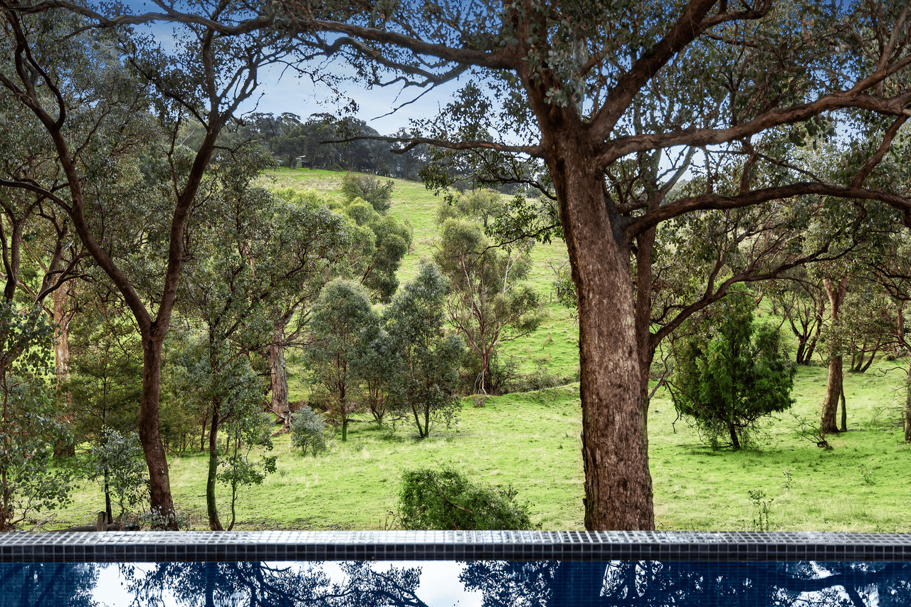 113 Everleigh Drive, DIAMOND CREEK, VIC 3089