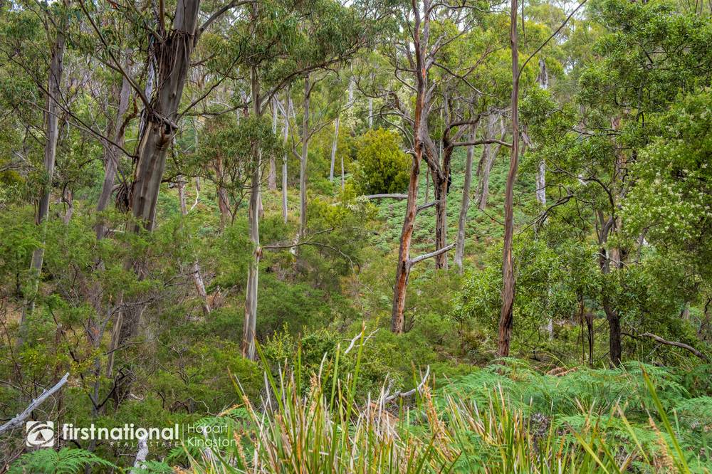 110 Bruny Island Main Road, NORTH BRUNY, TAS 7150