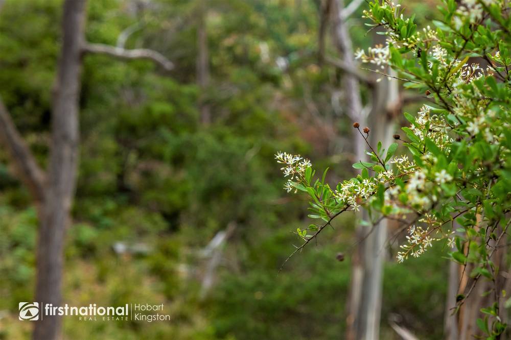 110 Bruny Island Main Road, NORTH BRUNY, TAS 7150