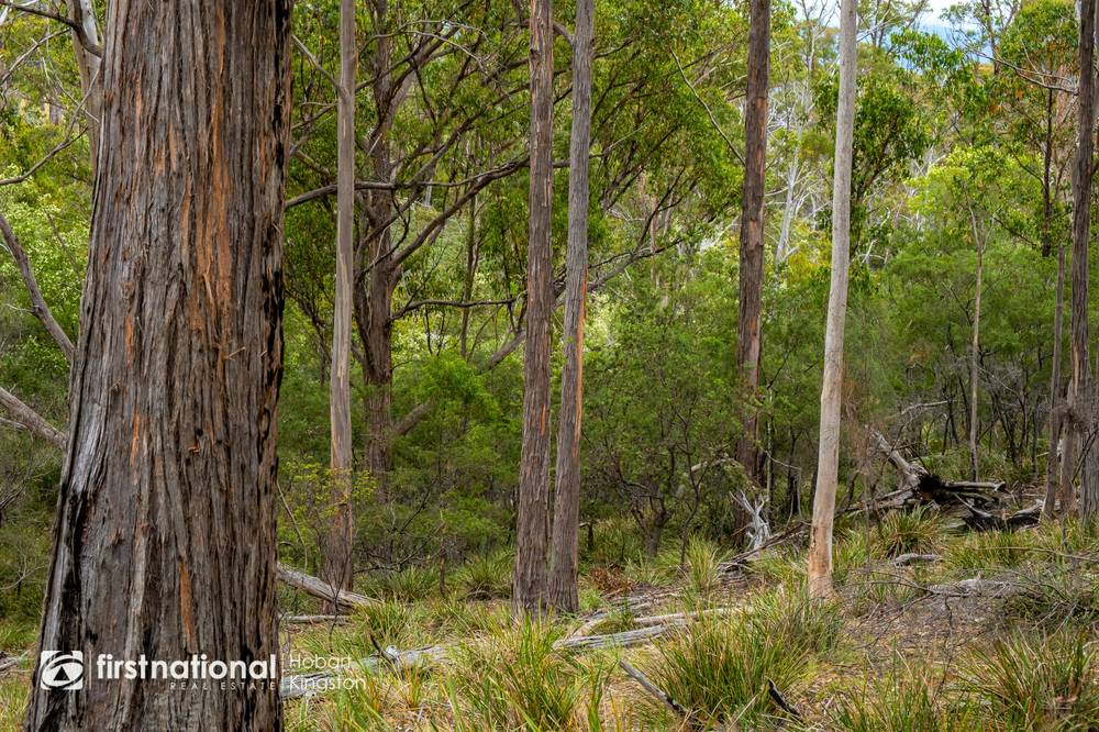 110 Bruny Island Main Road, NORTH BRUNY, TAS 7150