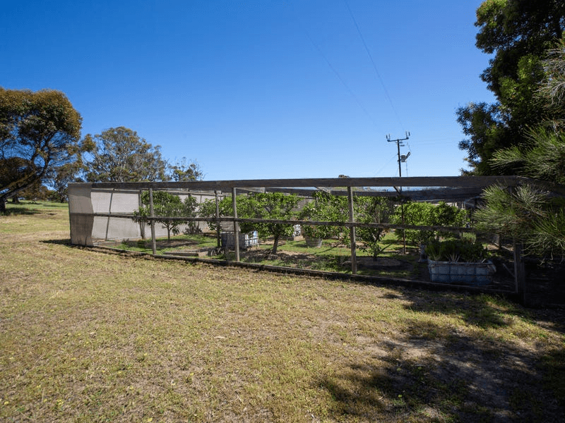 1246 McFarlane Road, BOSTON, SA 5607