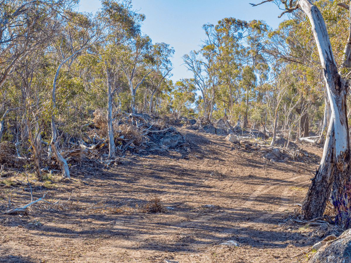 124 Old School Road, Hill Top, NSW 2628