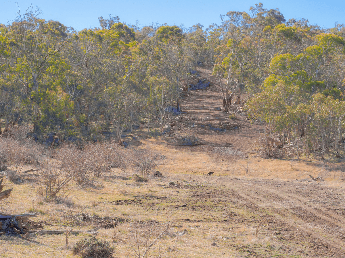 124 Old School Road, Hill Top, NSW 2628