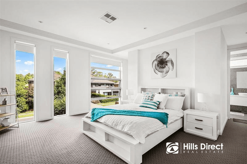 40 Vanilla Drive, The Ponds, NSW 2769