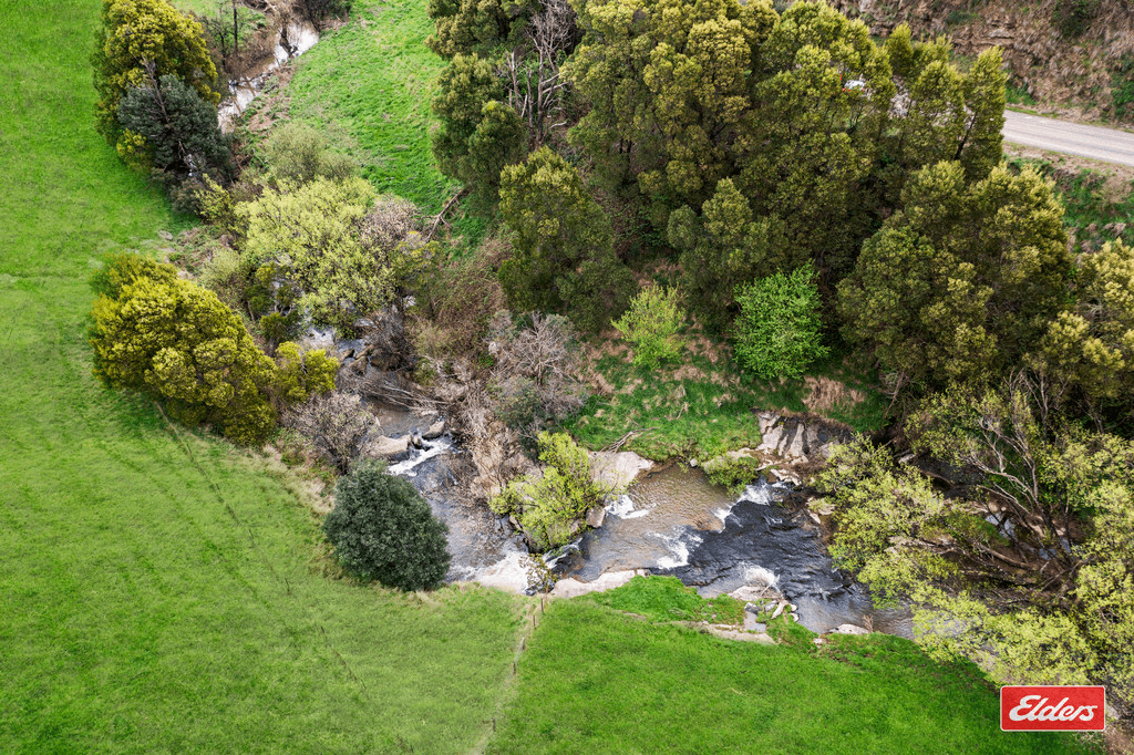 187 Amietts Road, WILD DOG VALLEY, VIC 3953