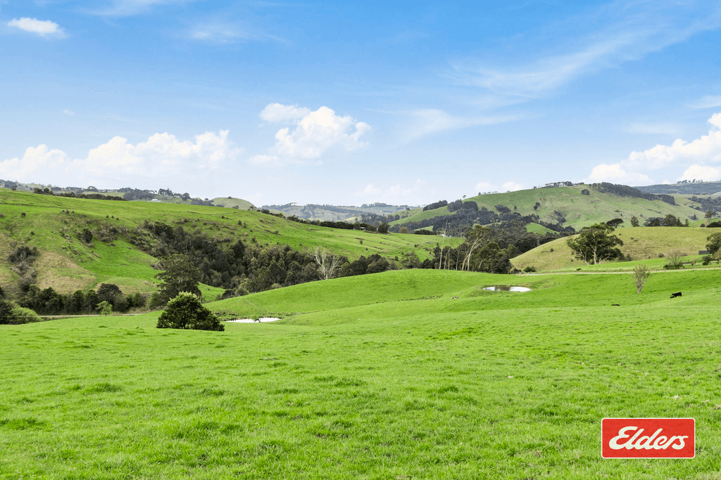 187 Amietts Road, WILD DOG VALLEY, VIC 3953