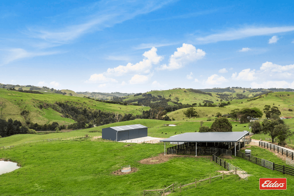 187 Amietts Road, WILD DOG VALLEY, VIC 3953