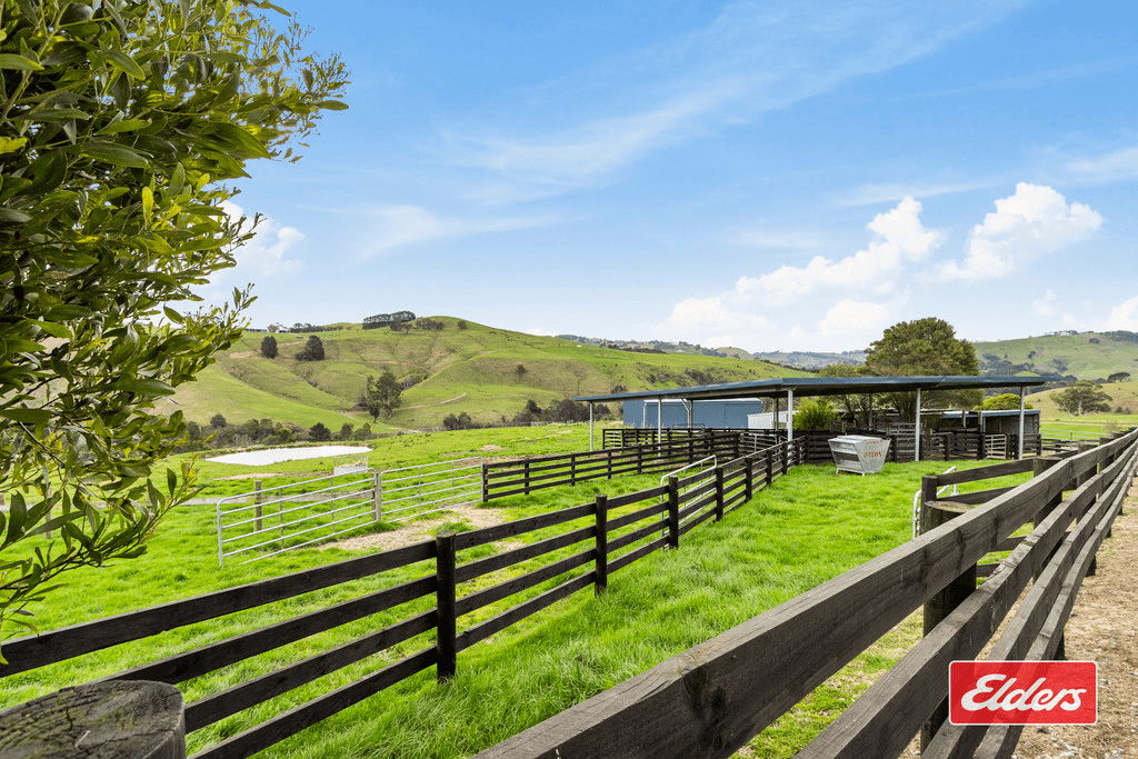 187 Amietts Road, WILD DOG VALLEY, VIC 3953