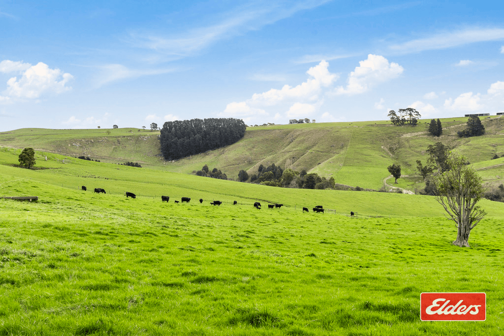 187 Amietts Road, WILD DOG VALLEY, VIC 3953