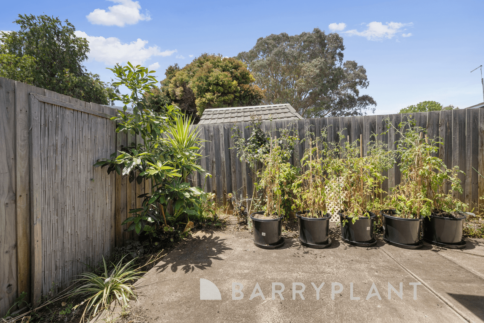 1 Wren Place, Melton, VIC 3337