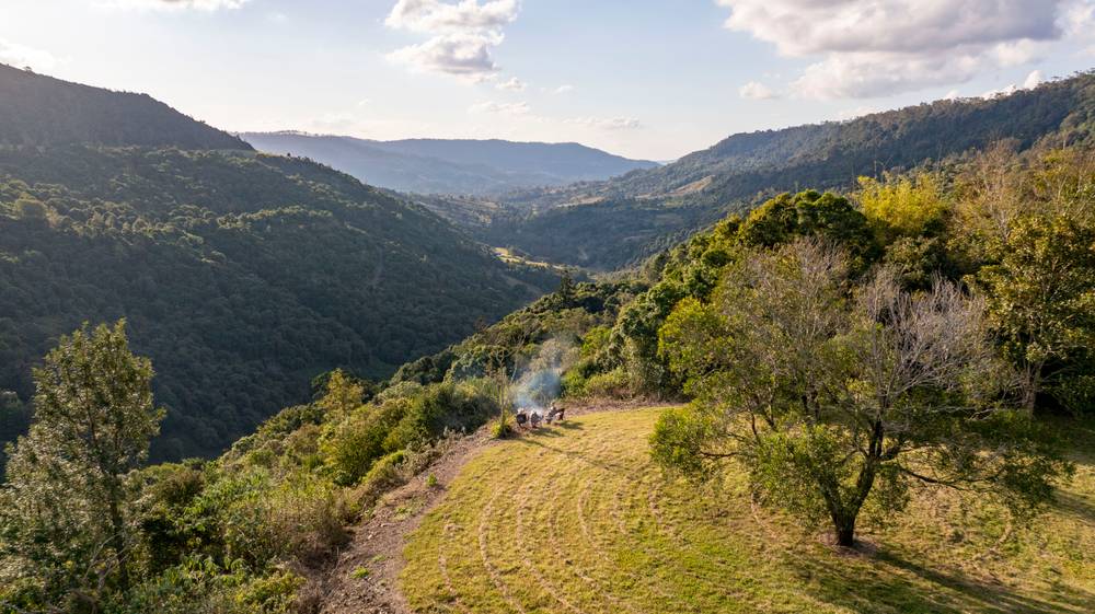 2079 Beechmont Road, BEECHMONT, QLD 4211