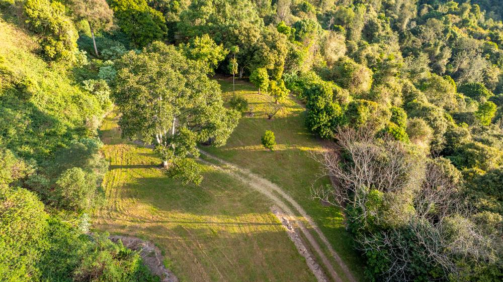2079 Beechmont Road, BEECHMONT, QLD 4211