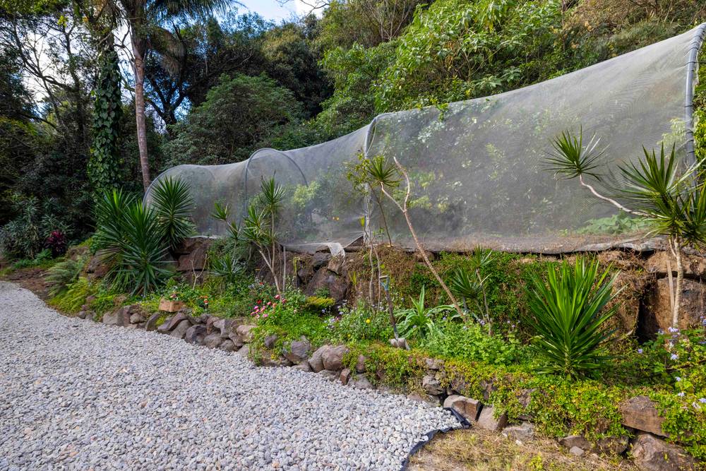 2079 Beechmont Road, BEECHMONT, QLD 4211