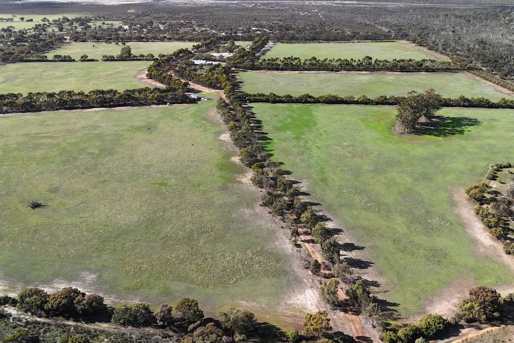 8827 Wallis Road, Katanning, WA 6317