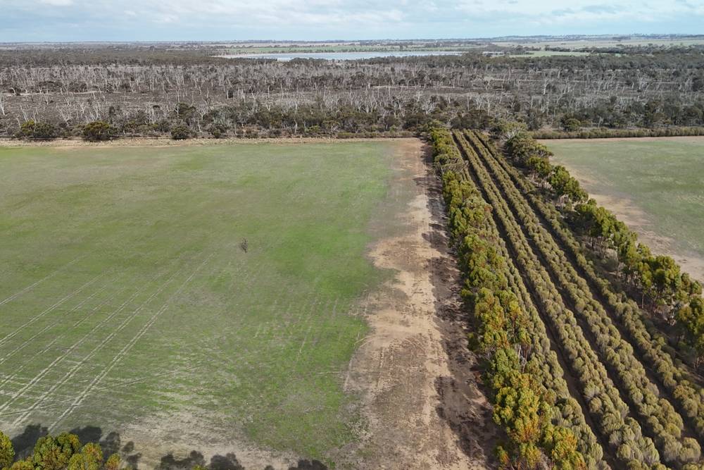 8827 Wallis Road, Katanning, WA 6317