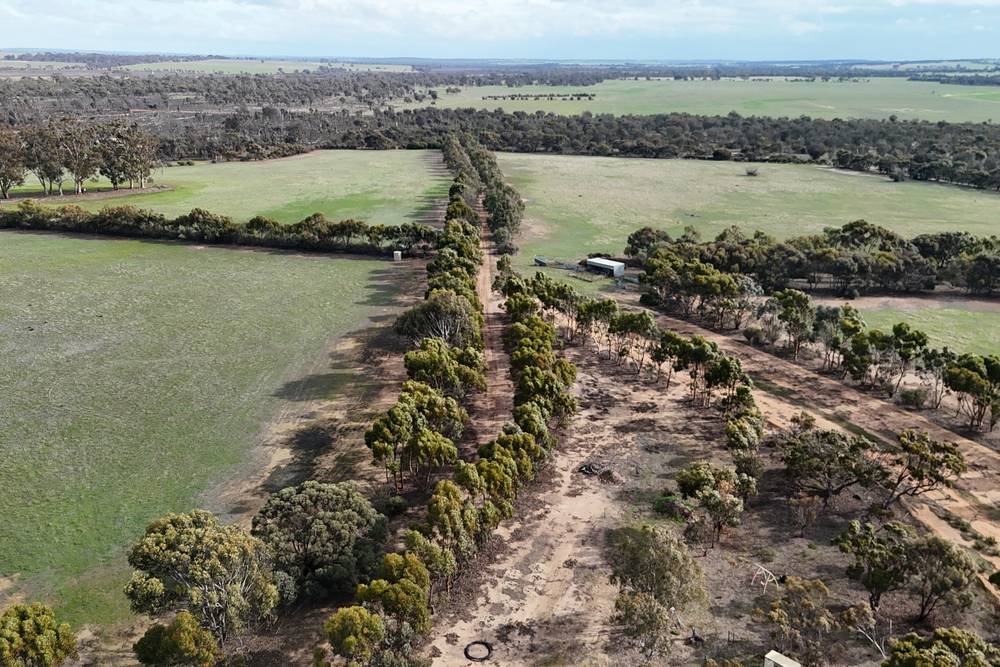 8827 Wallis Road, Katanning, WA 6317