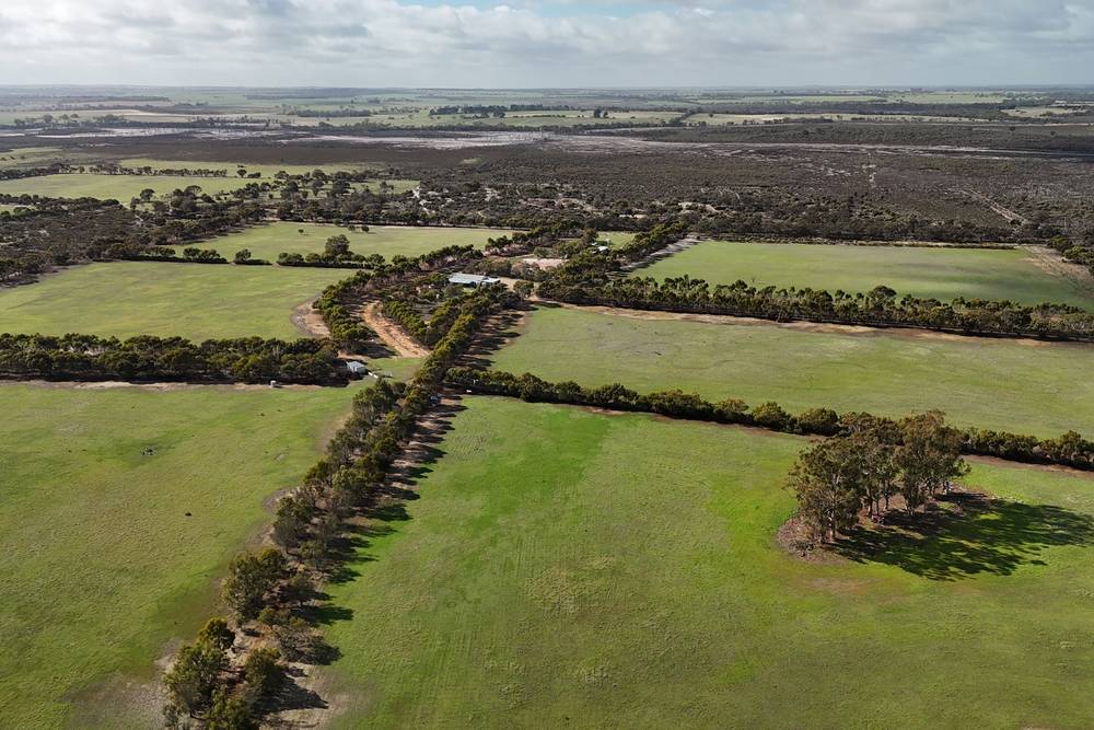 8827 Wallis Road, Katanning, WA 6317