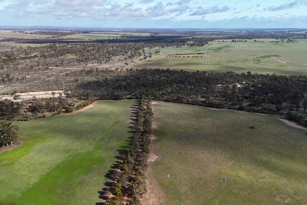 8827 Wallis Road, Katanning, WA 6317