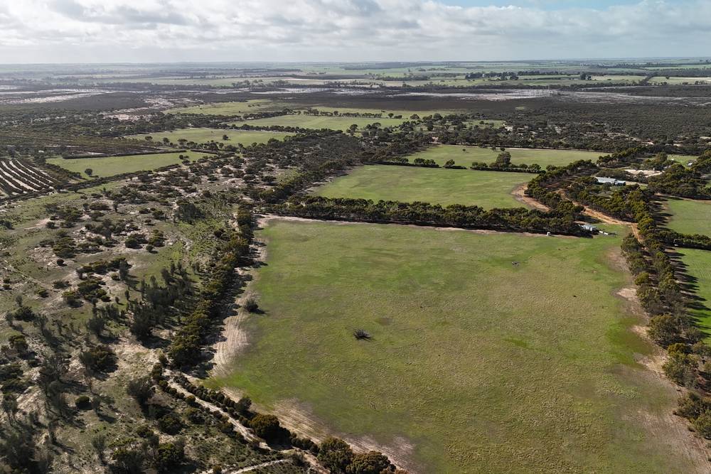 8827 Wallis Road, Katanning, WA 6317