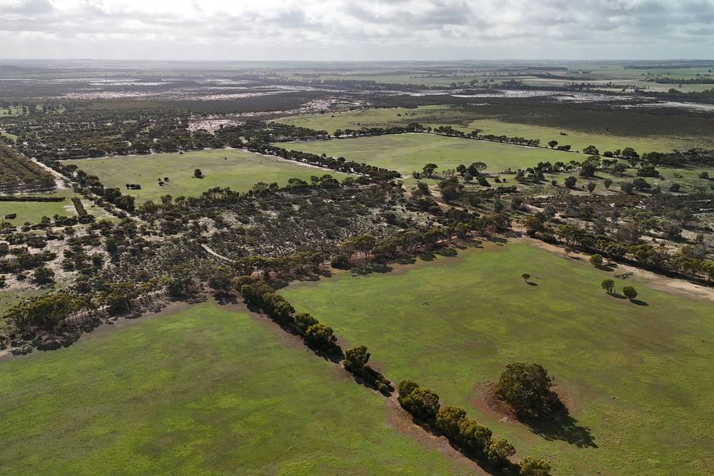 8827 Wallis Road, Katanning, WA 6317