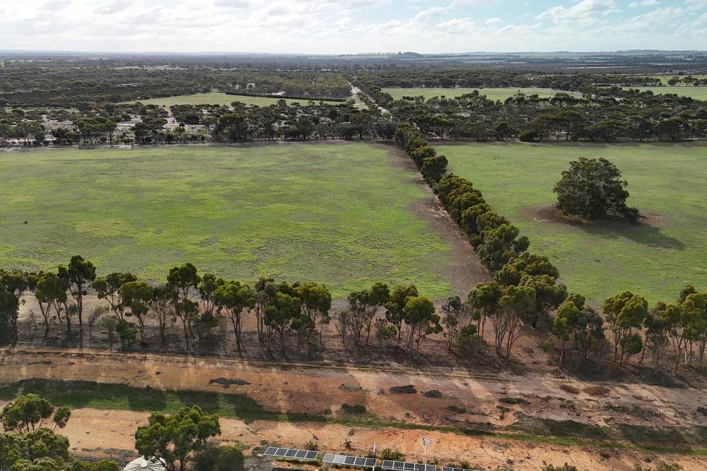 8827 Wallis Road, Katanning, WA 6317