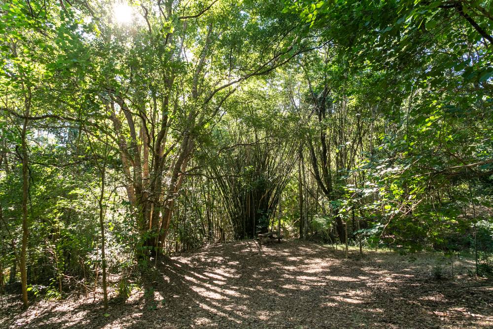 1033 Cedar Pocket Road, Cedar Pocket, QLD 4570