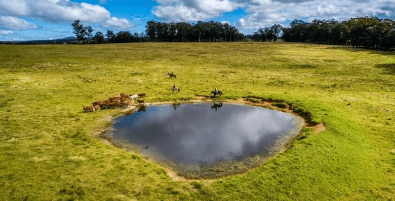 224 Wallaroo Range Road, Willsons Downfall, NSW 2372