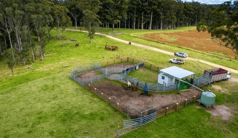 224 Wallaroo Range Road, Willsons Downfall, NSW 2372