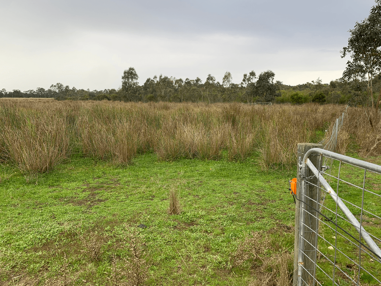 Lot 101 Morris Road, THE PLAINS, WA 6237