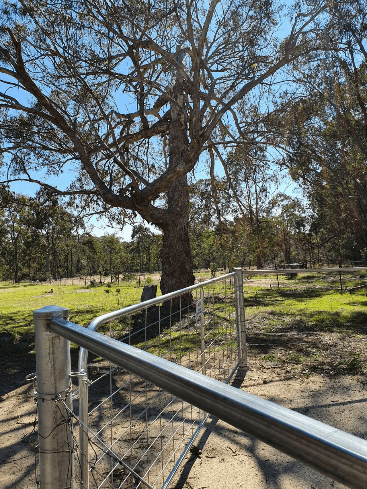 29 Catarrh Creek Road, TORRINGTON, NSW 2371