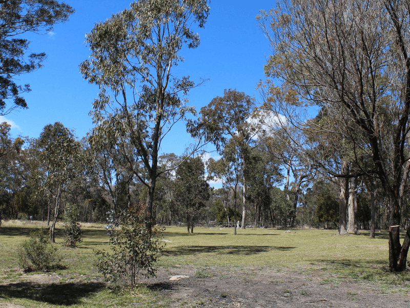 29 Catarrh Creek Road, TORRINGTON, NSW 2371