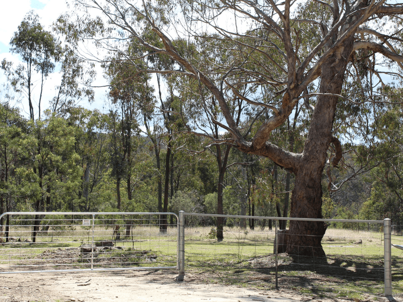 29 Catarrh Creek Road, TORRINGTON, NSW 2371