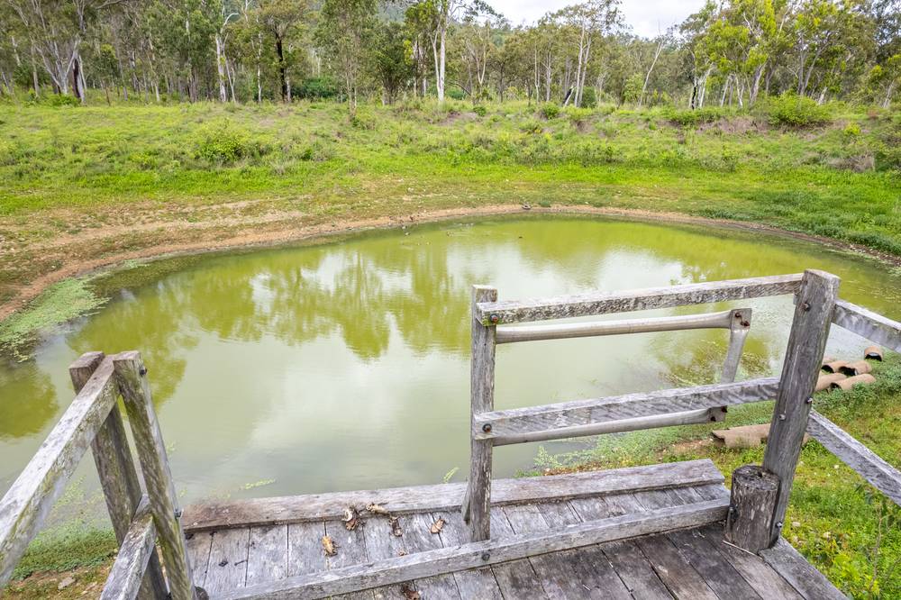 749 Thompson Point Road, Nankin, QLD 4701