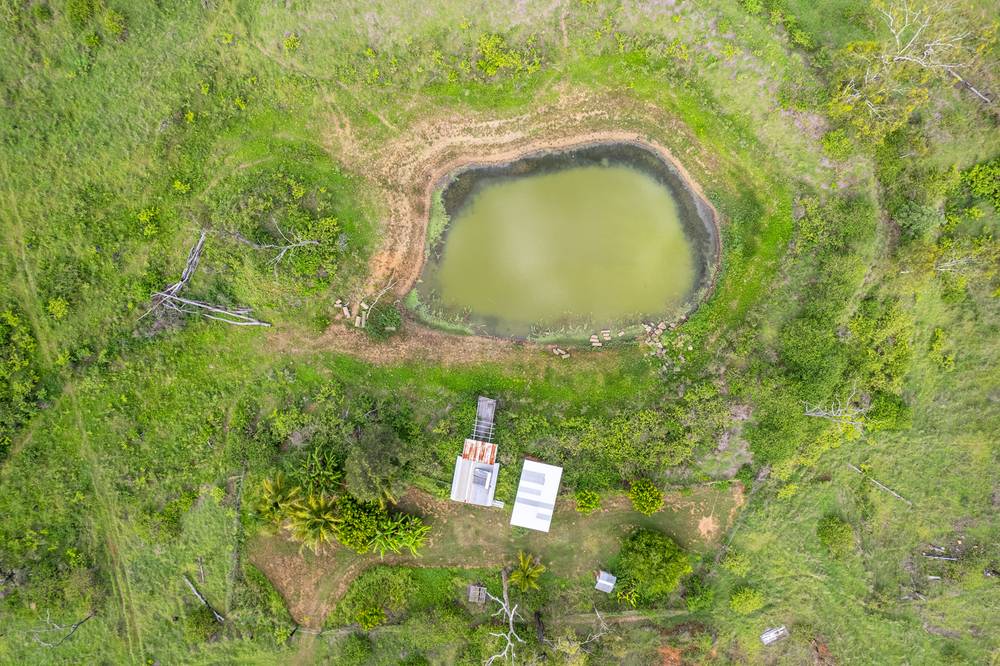 749 Thompson Point Road, Nankin, QLD 4701