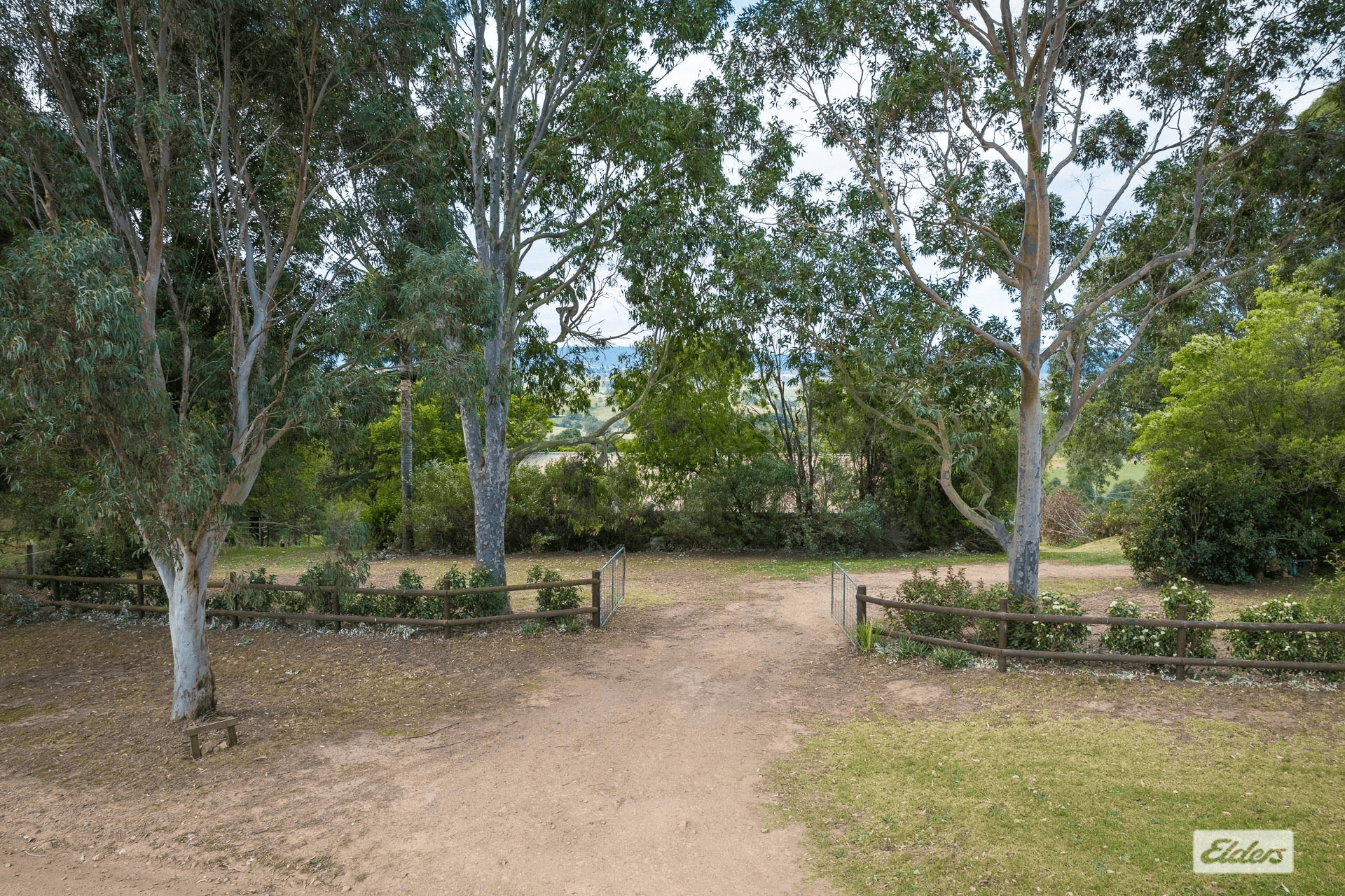 158 Peak Hill Road, Buckajo, NSW 2550