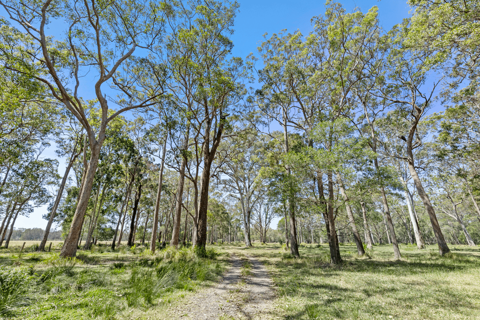 73 Bashforths Lane, , NSW 2483