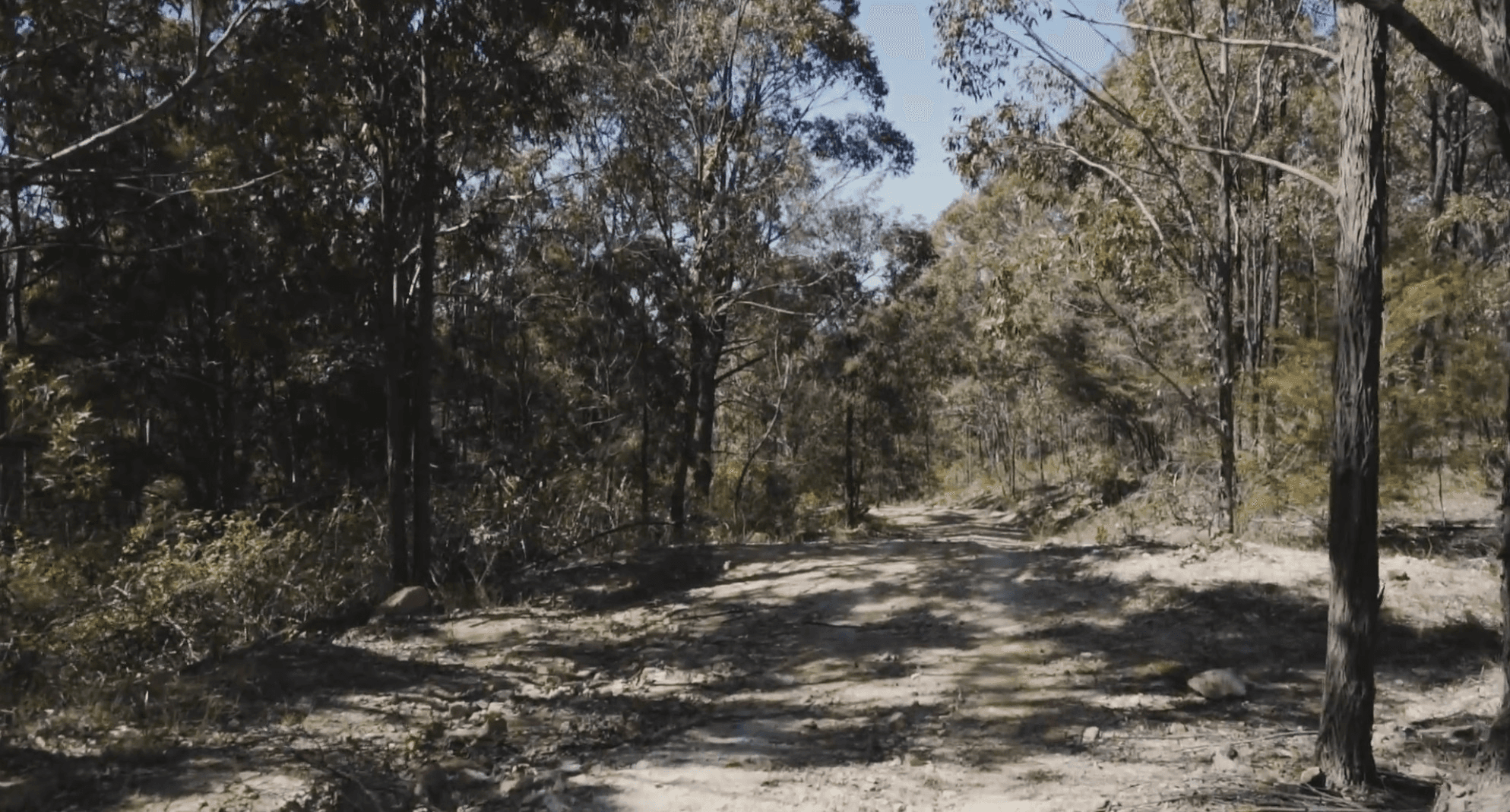 660 Duns Creek Road, Duns Creek, NSW 2321