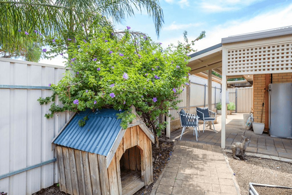 3/15  Clansman Ave, Windsor Gardens, SA 5087