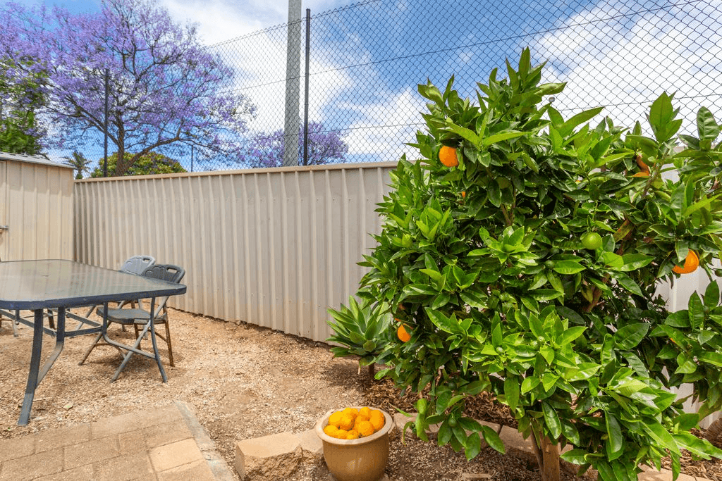 3/15  Clansman Ave, Windsor Gardens, SA 5087