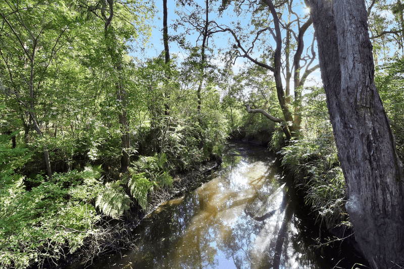 41 Narone Creek Rd, Wollombi, NSW 2325
