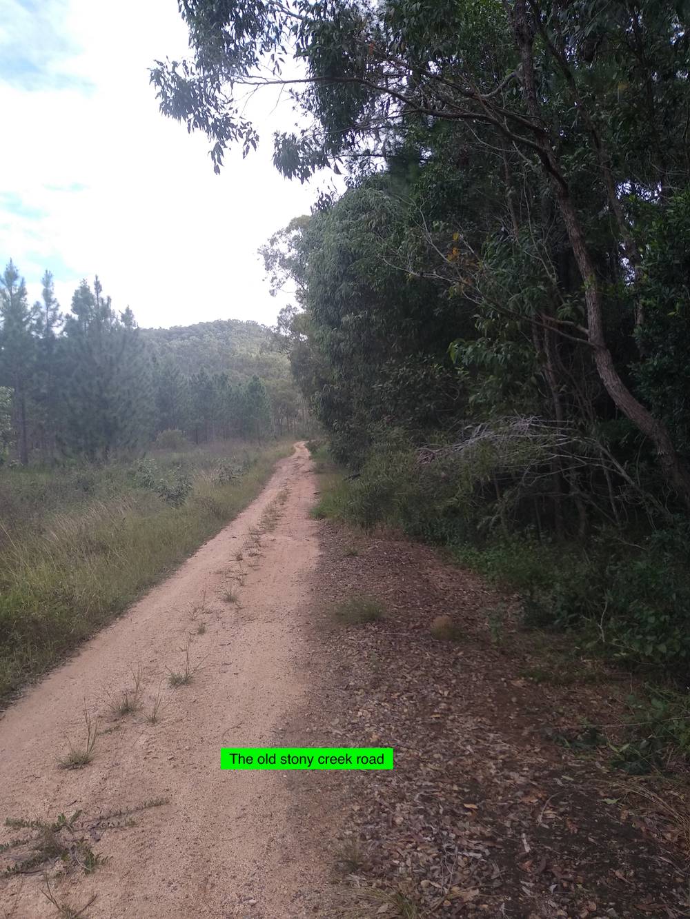 Lot 1 Stony Creek Road, CARDWELL, QLD 4849