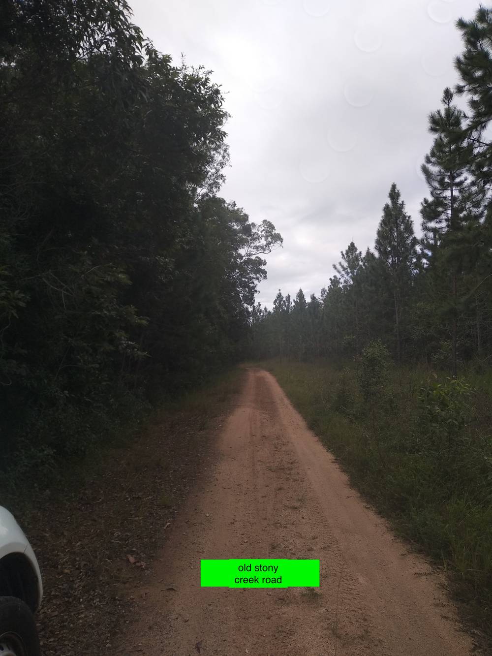 Lot 1 Stony Creek Road, CARDWELL, QLD 4849